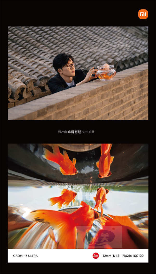 苏有朋官宣影像推荐官 “牵手”国民品牌记录美好瞬间