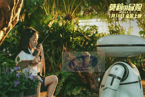 电影《莫莉的冒险》寒假1月18日上映 社恐女孩与机器人一起成长冒险