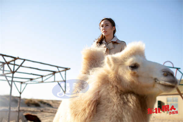 《东北狠人沙猩猩》今日上线，程野化身东北狠人守国宝护佳人