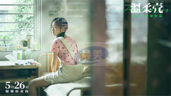 电影《温柔壳》曝“世界尽头的爱”终极海报 王子文尹昉执手同心守望幸福