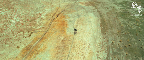 曹郁姚晨监制电影《脐带》曝“爱有回响”片段 母子漫游草原暖心治愈