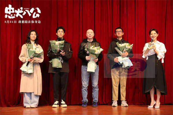 年度重磅情感炸弹《忠犬八公》曝终极预告 真挚感人获观众泪目力赞