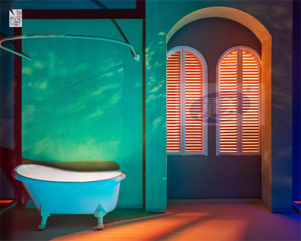 化身时空旅人 进入《知觉的世界》