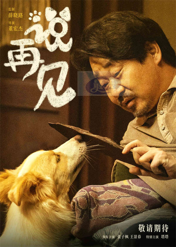 电影《说再见》曝官宣海报 张子枫王景春领衔宠物题材引人期待