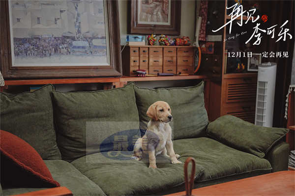 《再见,李可乐》首曝“家人”特辑 闫妮谭松韵首次与萌犬合作