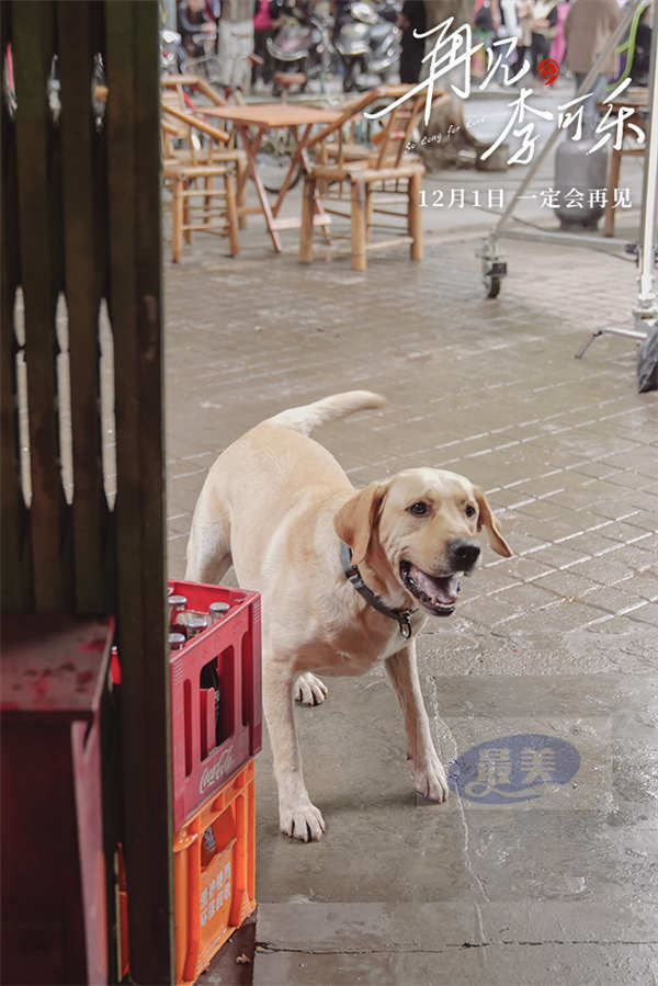 《再见,李可乐》首曝“家人”特辑 闫妮谭松韵首次与萌犬合作