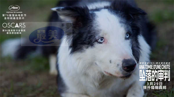 《坠落的审判》曝“失衡家庭”预告 无辜孩子成父母情感悲剧受害人