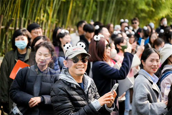 《海王2：失落的王国》预售开启 导演温子仁成都“吸熊猫”