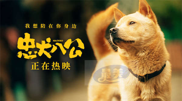 中国版《忠犬八公》全新特辑曝光 狗狗主演竟是流浪狗