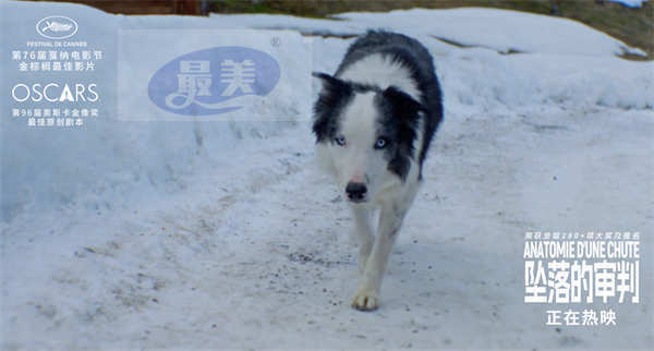电影《坠落的审判》今日上映 影后桑德拉·惠勒全中文问好尽显诚意