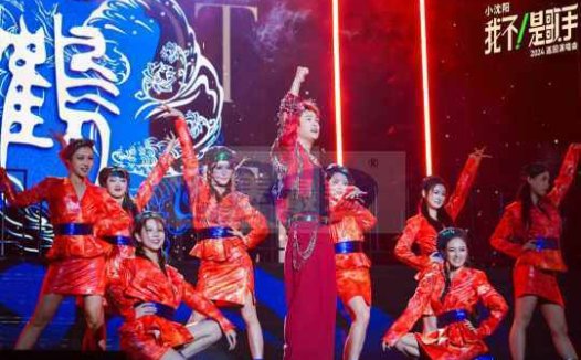 小沈阳演唱会燃情石家庄，万人合唱共赴音乐盛宴