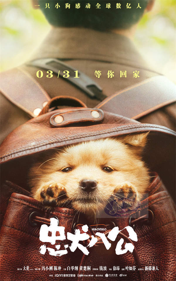 电影《忠犬八公》发布“狗狗超会演”特辑及海报 人和狗狗戏里戏外有爱相伴