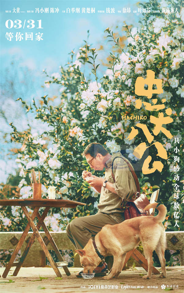 电影《忠犬八公》全新预告海报 “八筒相伴”延续春日感动