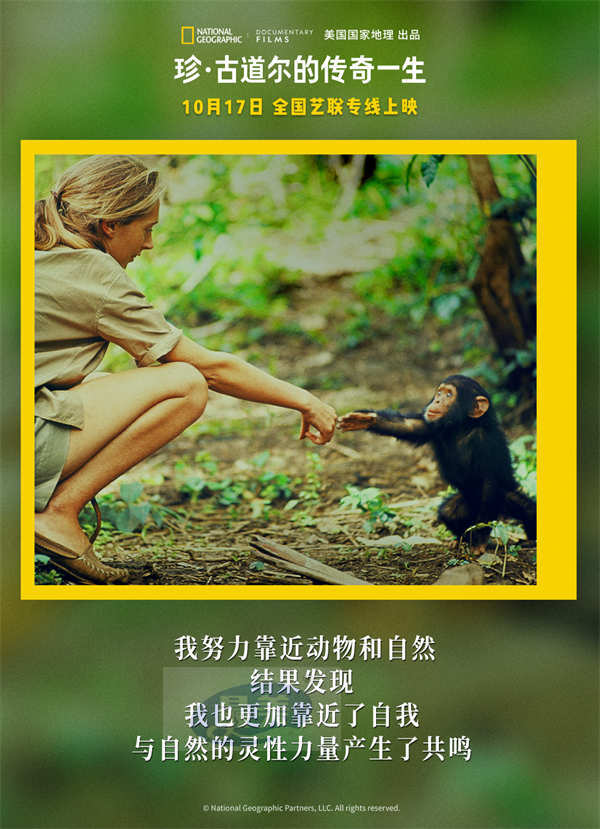 《珍·古道尔的传奇一生》今日上映 传奇女性精神力量鼓舞观众