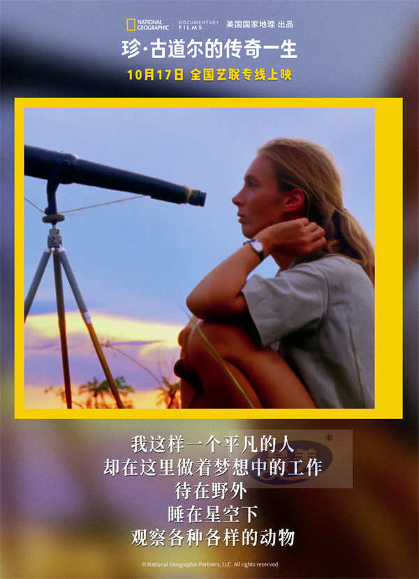 《珍·古道尔的传奇一生》今日上映 传奇女性精神力量鼓舞观众