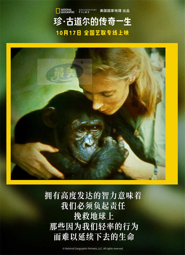 《珍·古道尔的传奇一生》今日上映 传奇女性精神力量鼓舞观众