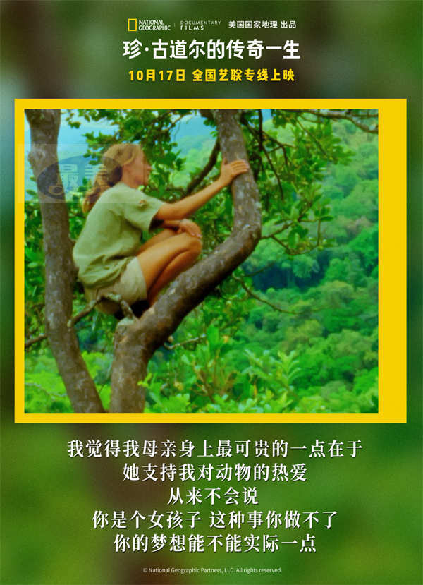 《珍·古道尔的传奇一生》今日上映 传奇女性精神力量鼓舞观众