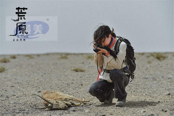 女性冒险电影《荒原》今日公映 任素汐绝境求生看点揭秘