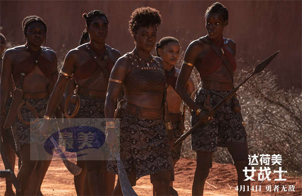 电影《达荷美女战士》今日上映 谱写全女子军团高光诗篇